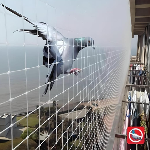 Welcome To Bird Netting & Pest Control Solutions