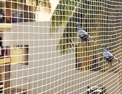 Bird Net Installation